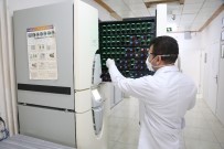 CUMHURIYET ÜNIVERSITESI - Bilim Adamları Yerli 'Kene' Aşışı İçin Bir Araya Gelecek