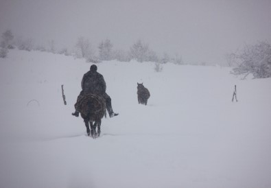 Bingöl'de 281 Köye Kar Nedeniyle Ulaşım Sağlanamıyor