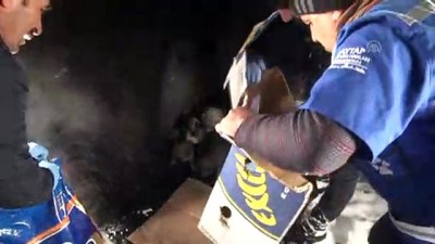 Hakkari'de Sokak Hayvanlarına Yiyecek Bırakıldı