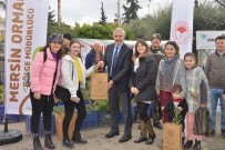 MAHMUT YıLMAZ - Mersin'de Vatandaşlara 5 Bin Fidan Dağıtıldı