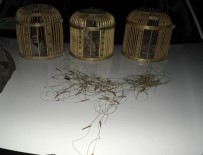 DİLEK YARIMADASI - Milli Park'ta Kaçak Avlanmak İçin Kafesli Tuzak Kuran İki Kişi Yakalandı