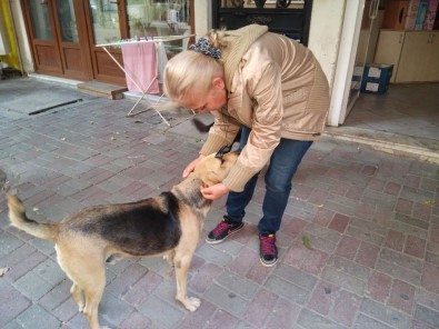 Otansev, 'Karnı Doyurulan Köpek Çevreye Zarar Vermez'
