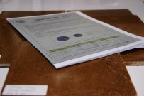 RADYASYON - (Özel) Yüzyılın Buluşuna Bir Onay Da Türk Loydu'ndan