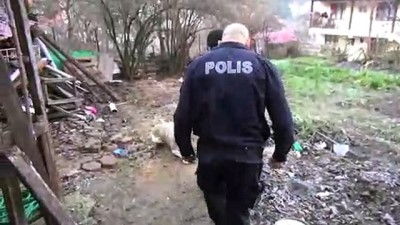 Polisin Kucağında Taşıdığı Yaralı Köpek İyileşiyor