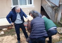 RUHSATSIZ SİLAH - Veresiye Alamayınca Silah Zoruyla Aldı