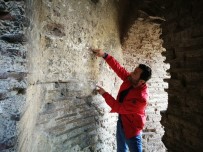 TARIHÇI - Arkeoloji Tarihine Işık Tutacak Keşif Defineciler Tarafından Talan Edildi