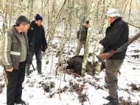 AVCILIK - Kırklareli'nde 73 Avcı Denetlendi