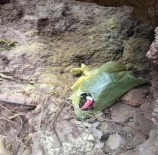 NAYLON POŞET - Siirt'te 3 Kilogram Patlayıcı Ele Geçirildi