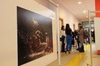 İZZET KERIBAR - 'Doğanın Enerjisi Fotoğraf Sergisi' Üniversitelilerin Beğenisine Sunuldu