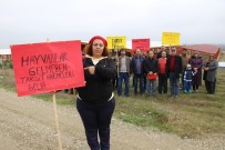 FİYAT ARTIŞI - İneklerine Kavuşamadan Kurdukları Çiftliğin Borcu Kapılarını Çaldı