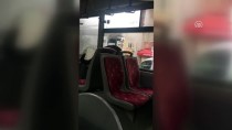 SOKAK KÖPEĞİ - Otobüse Binen Sokak Köpeği Şoför Koltuğuna Oturdu