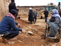 OSMAN KıLıÇ - Şanlıurfa'da Çöken Ahırın Altında Kalan Hayvanlar Telef Oldu