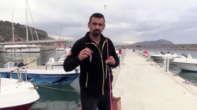 Alanya'da Olta Balıkçılığı Turnuvası Düzenlenecek