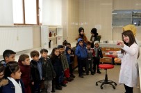 KIMYA - Anaokulu Öğrencileri Üniversiteyi Gezdi