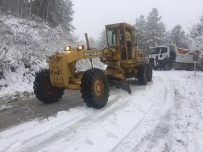 ERICEK - Aydın'a Yılın İlk Karı Düştü