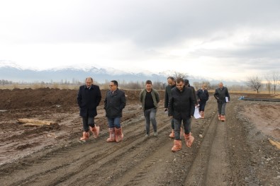 Erzincan'a Damızlık Düve Üretim Merkezi Kuruluyor
