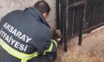 YAVRU KÖPEK - Kafası Kapı Arasına Sıkışan Köpek İtfaiye Tarafından Kurtarıldı