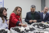 FEYZULLAH KIYIKLIK - Safiye Soyman Açıklaması 'Engelli Annesi Olarak İsyan Ediyorum'