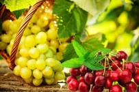 TARIM BAKANLIĞI - 12 Ay Dünyaya Kiraz Ve Üzüm İhracatı Yapılacak