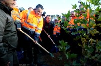 ORMAN YANGıNLARı - Bakan Pakdemirli Açıklaması 'Yanan Ormanlara Villa Yapılamaz, Bu Alanlar Kanunla Korunuyor'