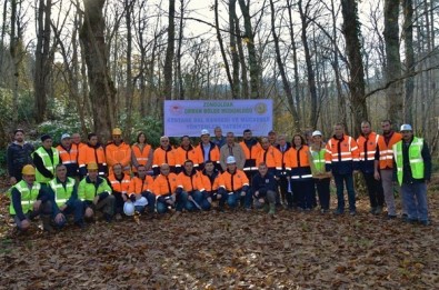 Kurucaşile Kestane İle Şenlenecek