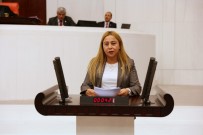 İHBAR TAZMİNATI - Milletvekili Esin Kara'dan, Mali Müşavirlere Arabuluculuk Talebi