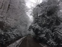 KAVAKLı - Ormancı Gözüyle Yenice Ormanlarında Kar Manzarası