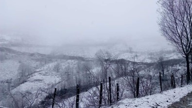 Tokat'ta Kar Yağışı