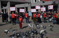 SÜLEYMAN KARA - Balıkesirli Genç Kızılaycılar Dünya Gönüllüler Gününü Kutladı