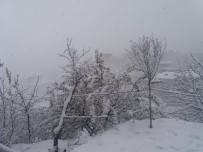 BAĞLAMA - Hakkari'de Kar Yağışı