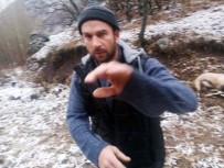 KAÇAK AVCI - Köylü Çekti, İşte Dağ Keçisini Vuran Şahıs
