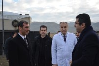 SÜT ÜRÜNLERİ - Vali Memiş Aziziye Ve Aşkale'de Besi Çiftliklerini Gezdi