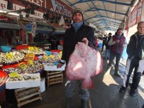 KALKAN BALIĞI - Balıkların Paşası 750 Liraya Alıcı Buldu