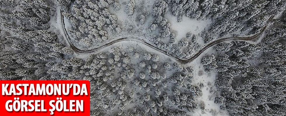 Kastamonu ormanlarında 'beyaz örtü'nün görsel şöleni