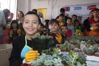 SELÇUK ÜNIVERSITESI - (Özel) Sınıfı Seraya Çevirip Kaktüs Ektiler