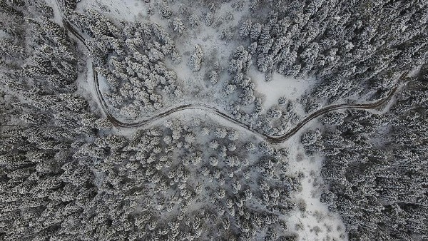 Kastamonu ormanlarında 'beyaz örtü'nün görsel şöleni