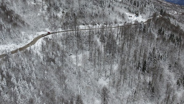 Kastamonu ormanlarında 'beyaz örtü'nün görsel şöleni