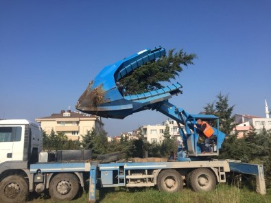 156 Çam Ağacı Cezaevi Bahçesine Naklediliyor