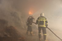 AHMET AYDIN - Besi Çiftliğinde Yangın