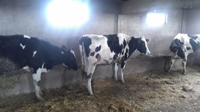 Kendi İşini Kuran Eski Hükümlü Hayata Yeni Bir Başlangıç Yaptı