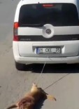 Köpeği Aracın Arkasına Bağlayıp Sürükledi