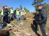 KARAÇAY - Bozdoğan'da Silvikültür Tatbikatı Yapıldı