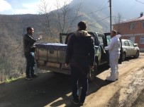ALI ÇAKıR - Trabzon'da Şarbon Paniği Sürüyor