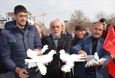 Bin Güvercin Mehmetçik İçin Havalandı