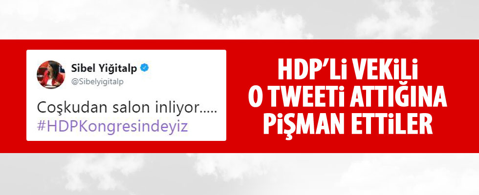 HDP Sibel Yiğitalp'in paylaşımına tepkiler