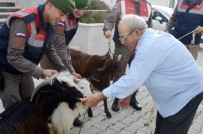 Antalya'da Küçükbaş Hayvan Hırsızları Yakalandı