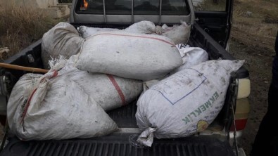 Başka Araca Ait Plakayla Zeytin Çalan 5 Şüpheli Jandarmadan Kaçmadı