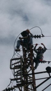 Dicle Elektrik Borçlu Çiftçilerin Elektriğini Kesiyor