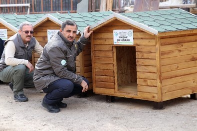 Gümüşhane'de Sokak Hayvanlarına Beş Yıldızlı Kulübe Yapıldı