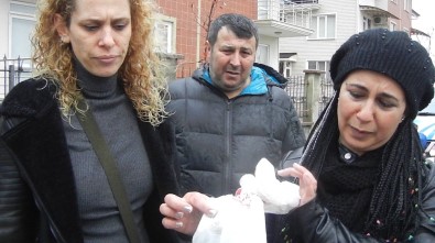 Edremit'te Köpek Katliamı...